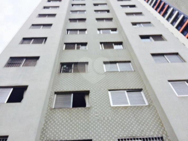 Foto REO169462