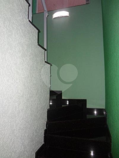 Foto REO169463