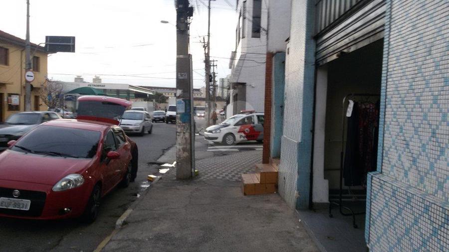 Foto REO169498