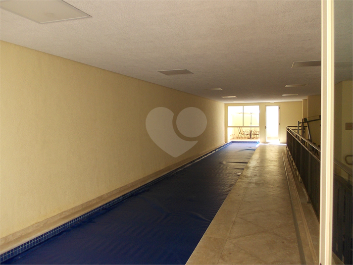 Foto REO169584