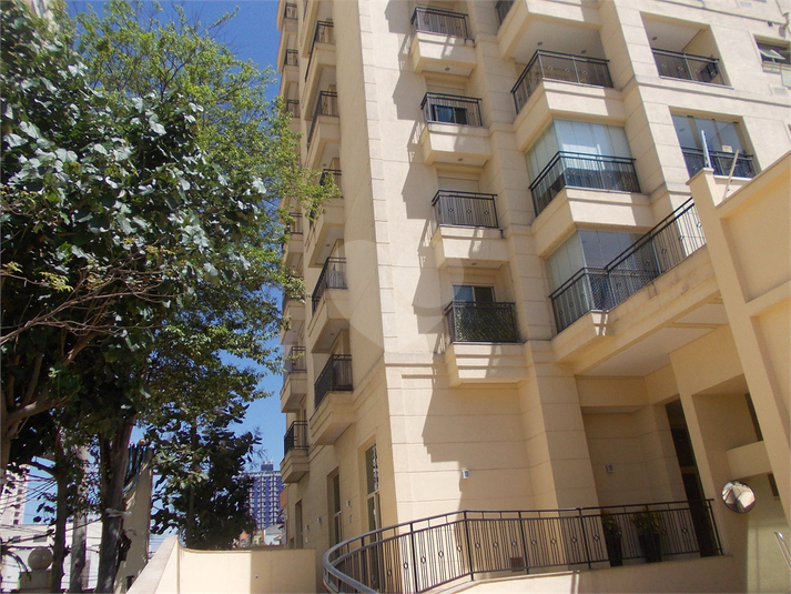Foto REO169584