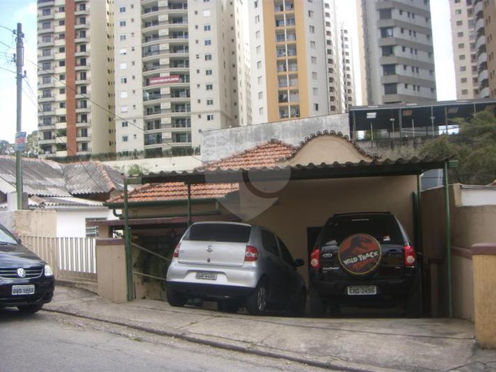 Foto REO169622