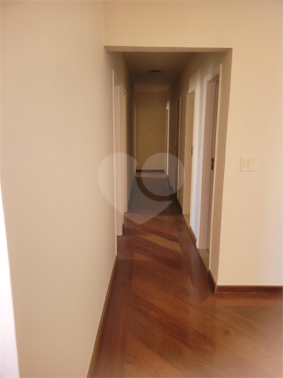Foto REO169623