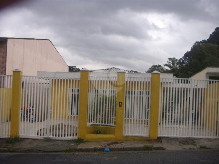 Foto REO169681