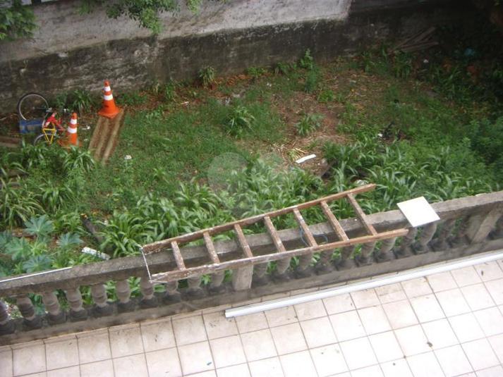Foto REO169681