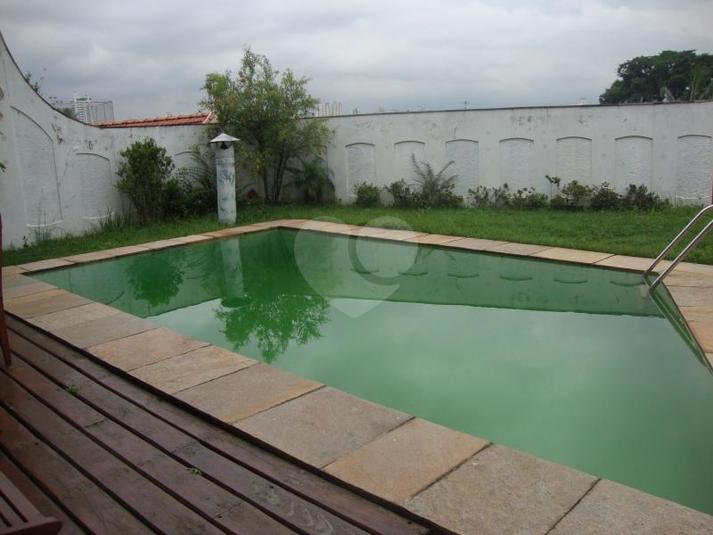 Foto REO169726