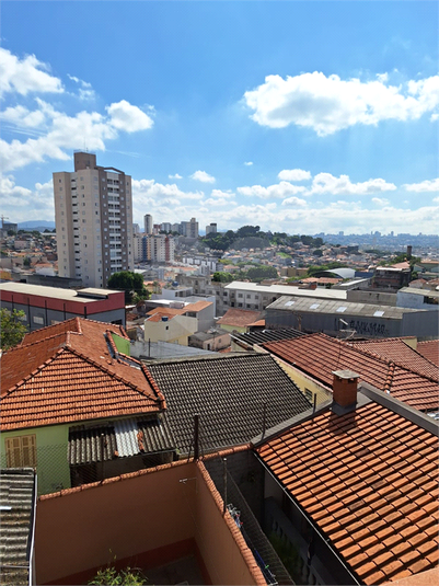 Foto REO169743