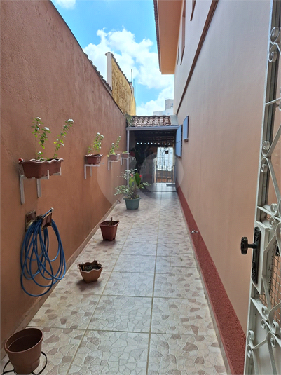 Foto REO169743