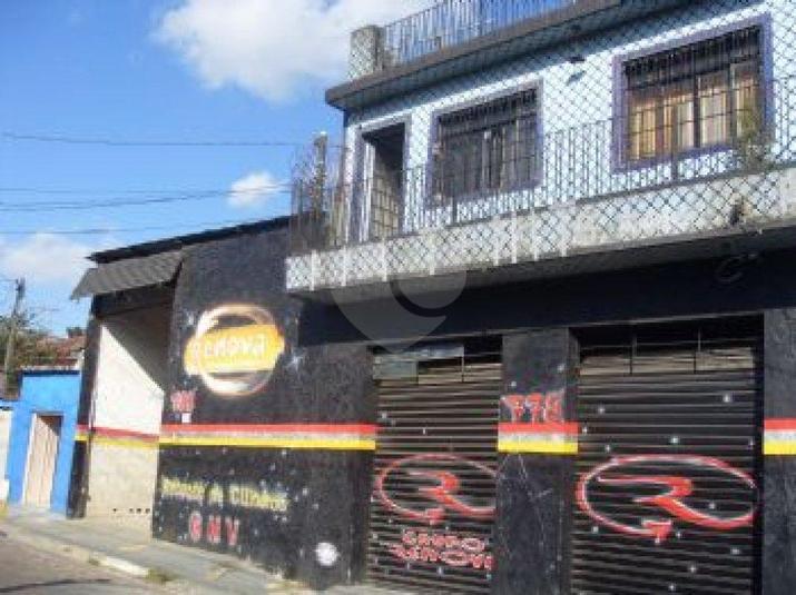 Foto REO169754