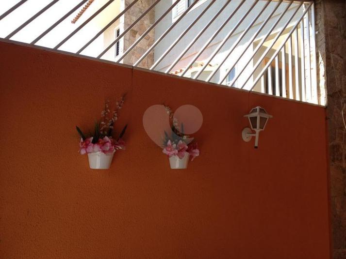 Foto REO169813