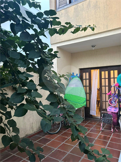 Foto REO169836