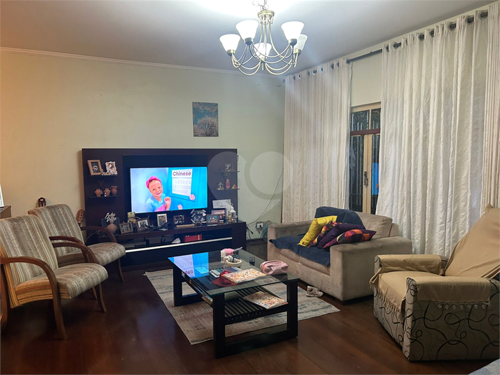 Foto REO169836