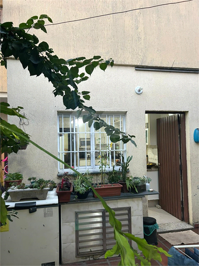 Foto REO169836