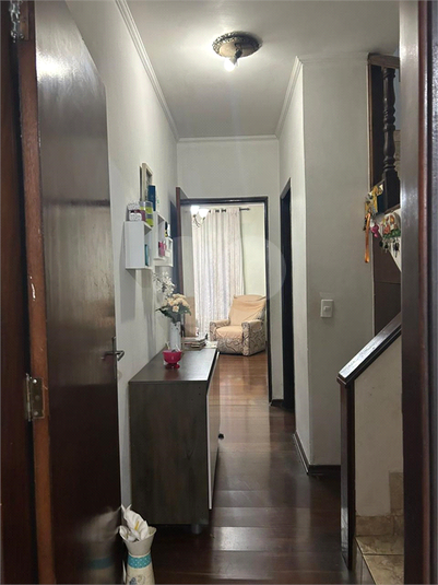 Foto REO169836