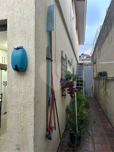 Foto REO169836