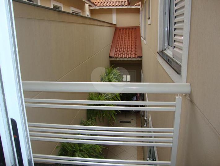 Foto REO169965