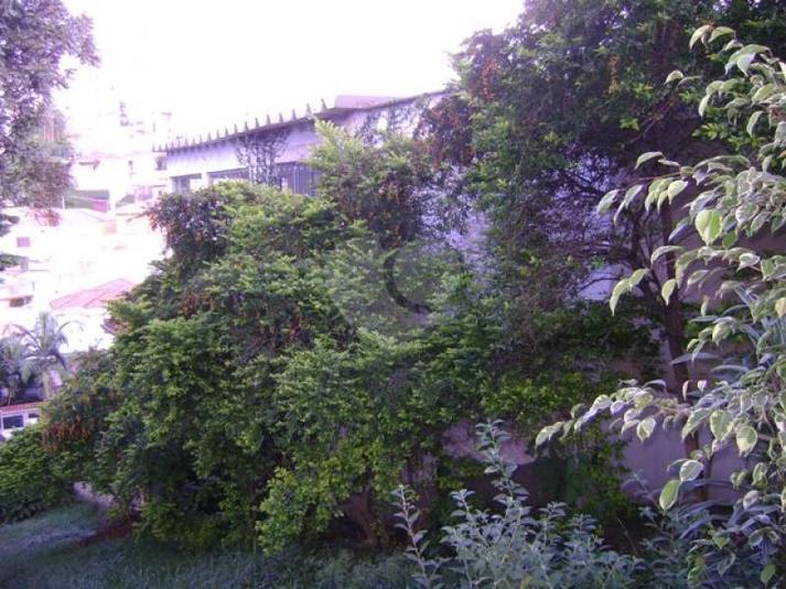Foto REO169979