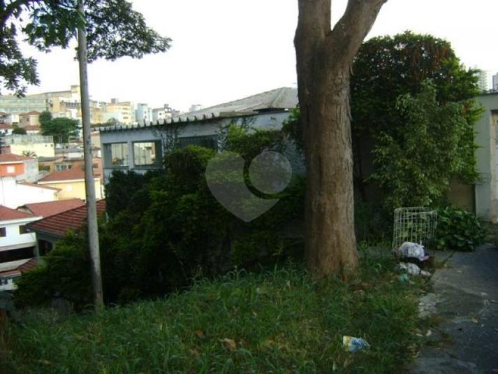 Foto REO169979