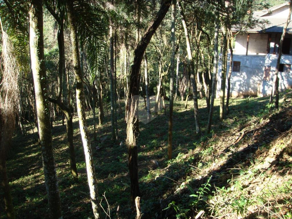 Venda Condomínio Mairiporã Serra Da Cantareira REO169985 6