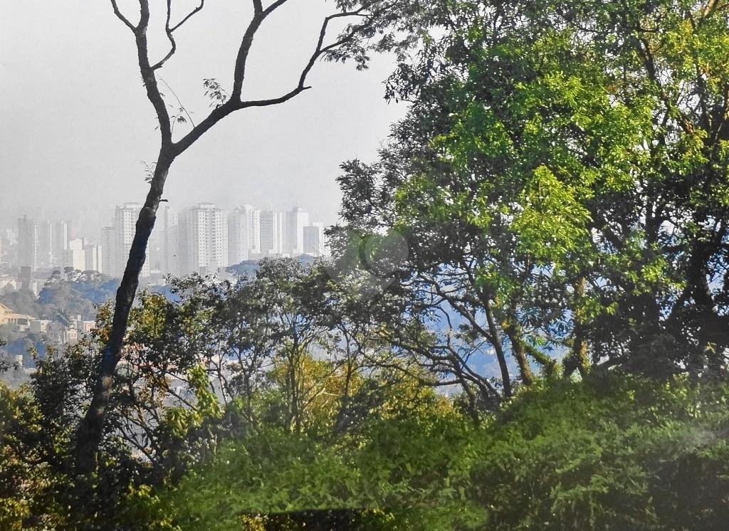 Venda Terreno São Paulo Vila Irmãos Arnoni REO170467 16