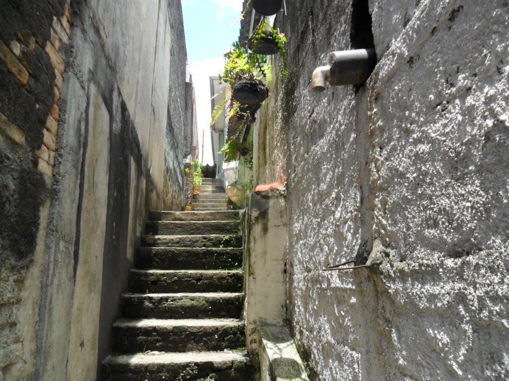 Venda Casa térrea São Paulo Sítio Do Mandaqui REO170605 15