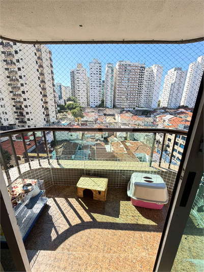 Foto REO170637