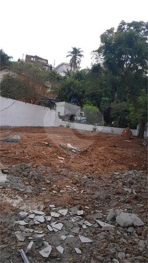 Foto REO170653