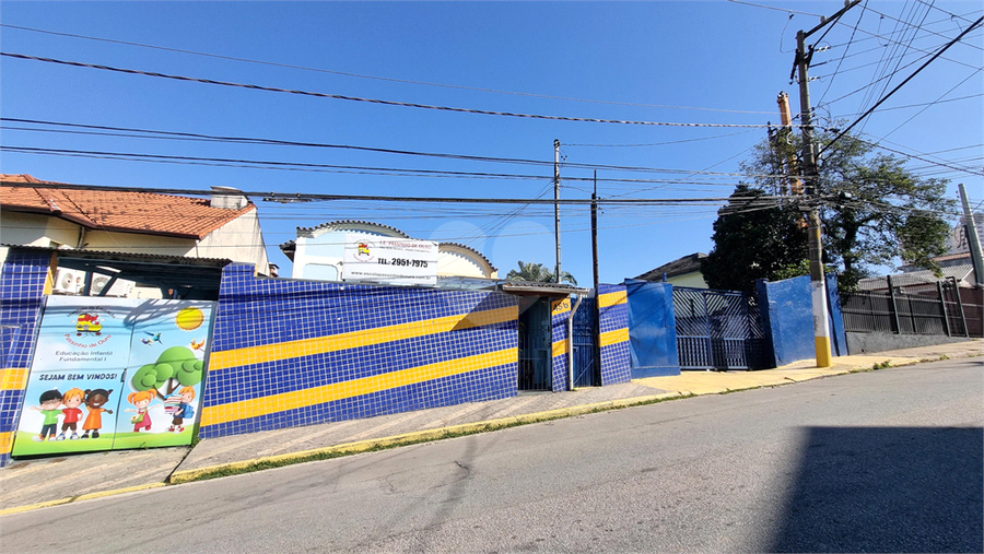 Foto REO170659