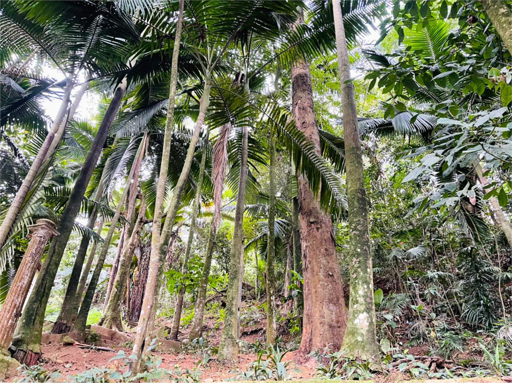 Venda Terreno São Paulo Tucuruvi REO170751 19