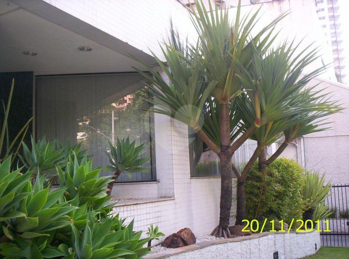 Foto REO170899