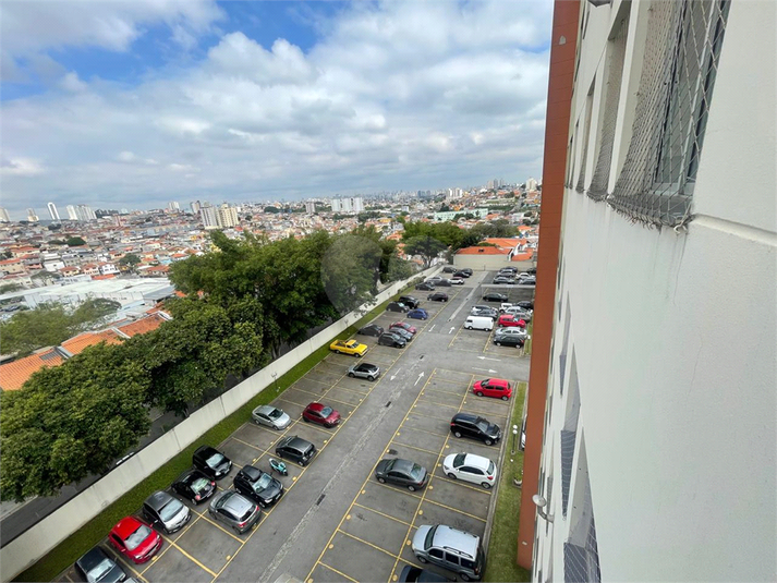 Foto REO171411