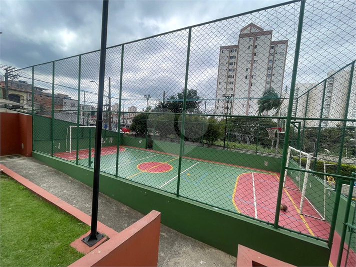 Foto REO171411