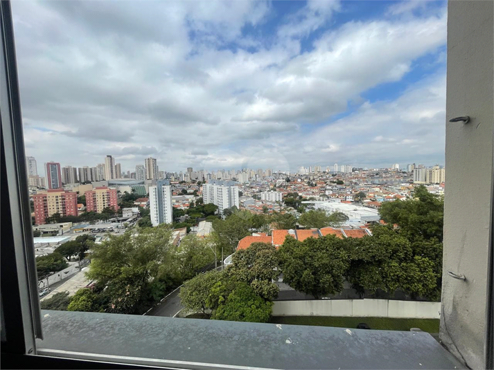 Foto REO171411
