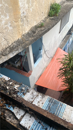 Foto REO171421