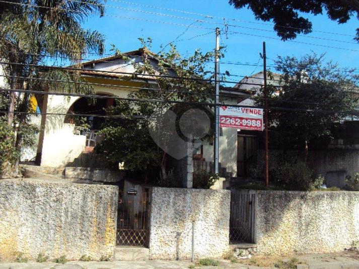 Foto REO171649
