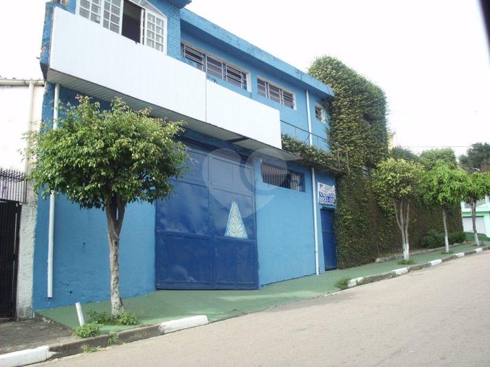 Foto REO171799