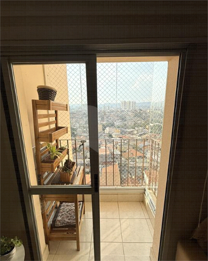 Foto REO172239