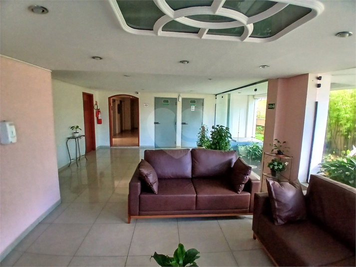 Foto REO172283