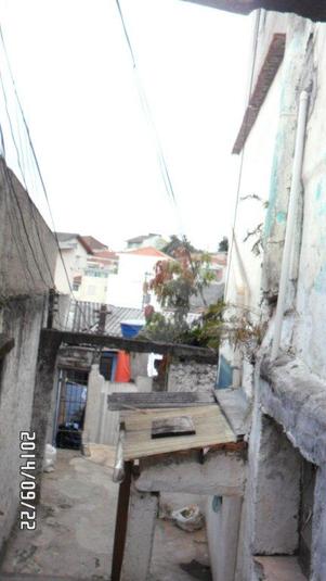 Foto REO172304
