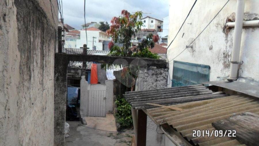 Foto REO172304