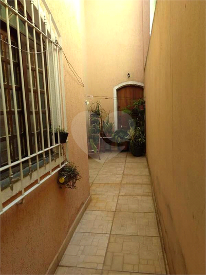 Foto REO172558