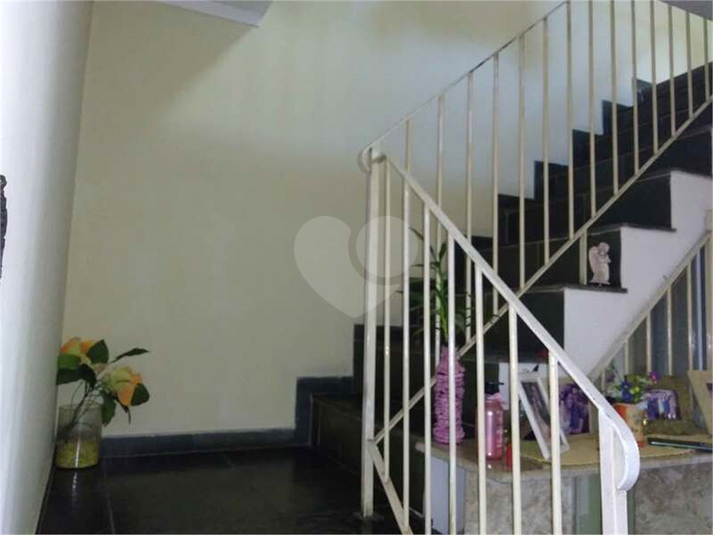 Foto REO172558