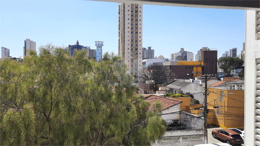 Foto REO172571