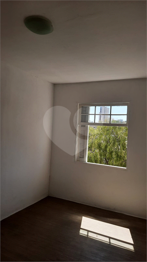 Foto REO172571