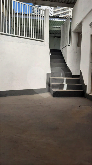 Foto REO172571