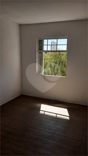 Foto REO172571