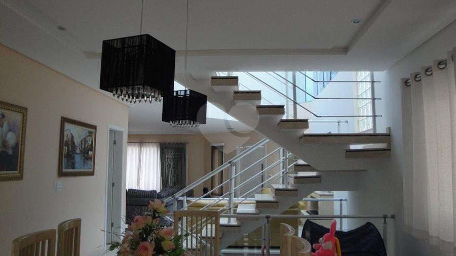 Foto REO172663