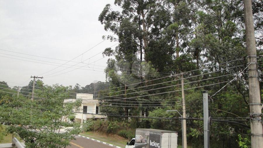 Foto REO172663