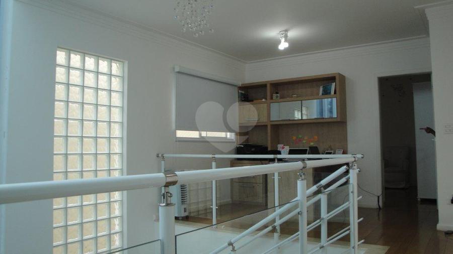 Foto REO172663