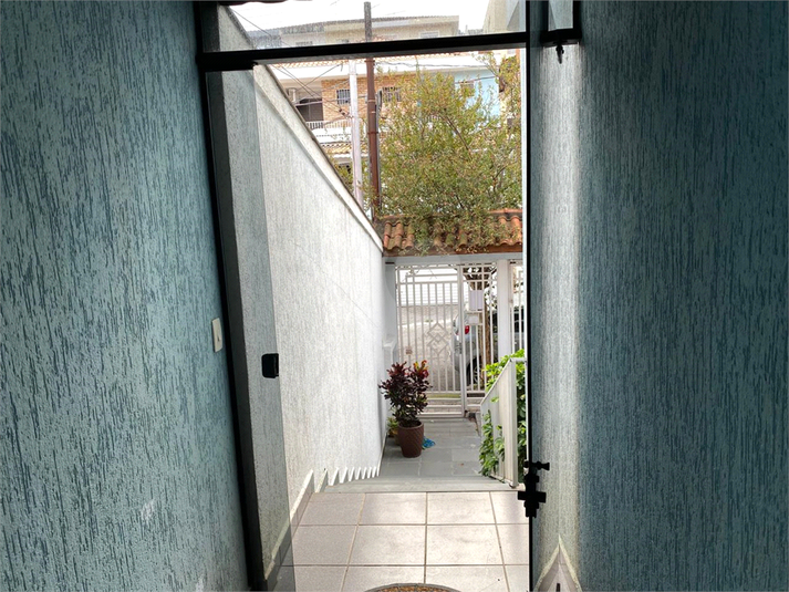 Foto REO172687